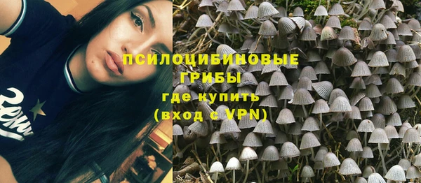 ешки Володарск