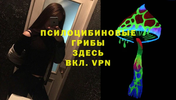 ешки Володарск