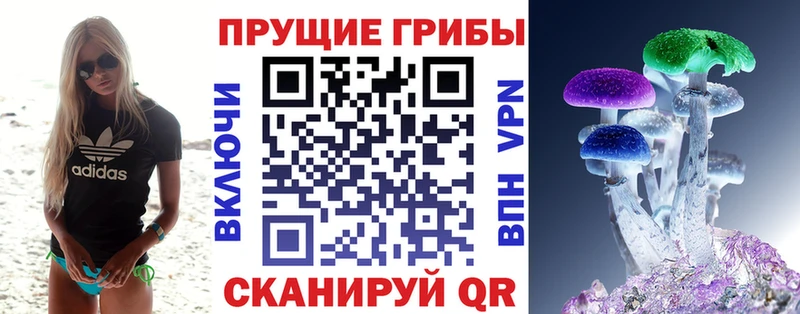 Псилоцибиновые грибы MAGIC MUSHROOMS  omg ССЫЛКА  Томск 